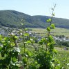 Mosel 2017